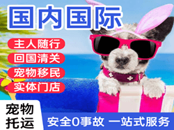 济南遥墙空运地址国际宠物托运 【国